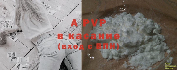 ПСИЛОЦИБИНОВЫЕ ГРИБЫ Баксан