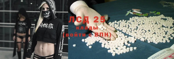 ПСИЛОЦИБИНОВЫЕ ГРИБЫ Баксан