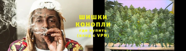 ПСИЛОЦИБИНОВЫЕ ГРИБЫ Баксан