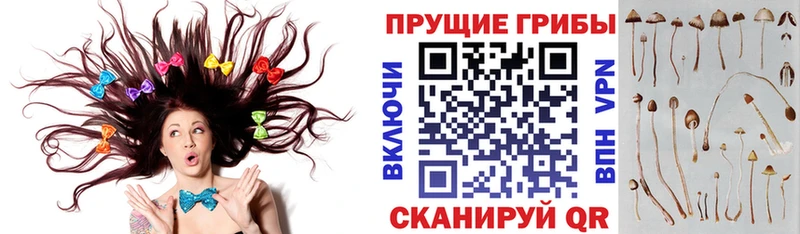 Галлюциногенные грибы GOLDEN TEACHER Сортавала